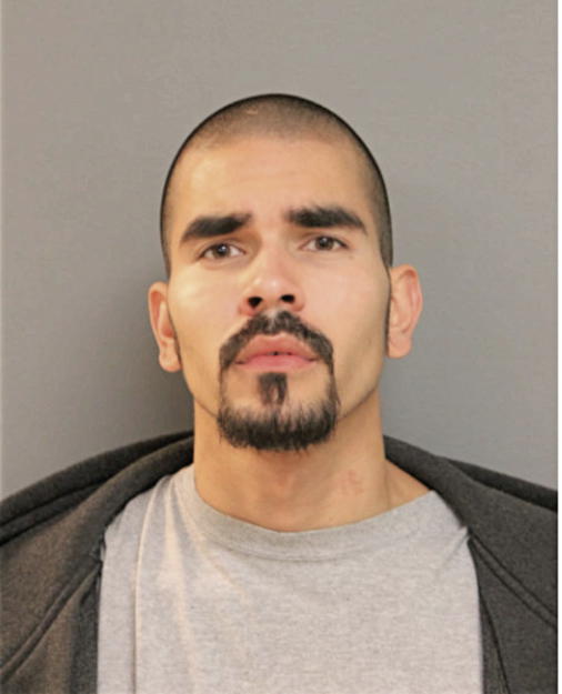 JUAN A ROSARIO, Cook County, Illinois