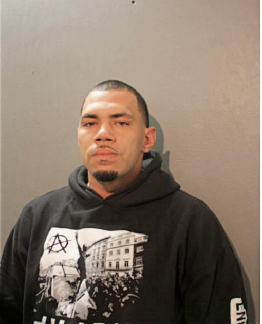 ROBERT N SHOWALTER, Cook County, Illinois