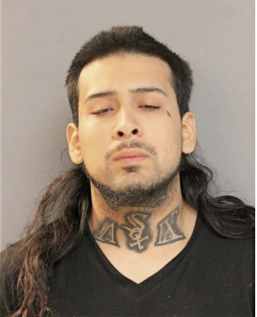 JAVIER TAMAYO, Cook County, Illinois