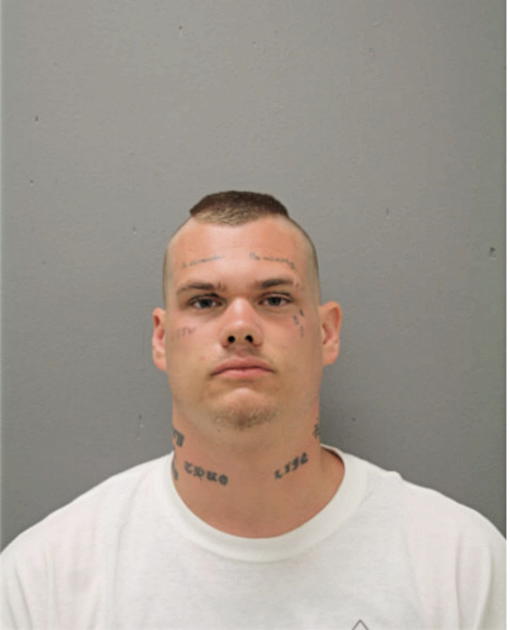 BRIAN N TURNER, Cook County, Illinois