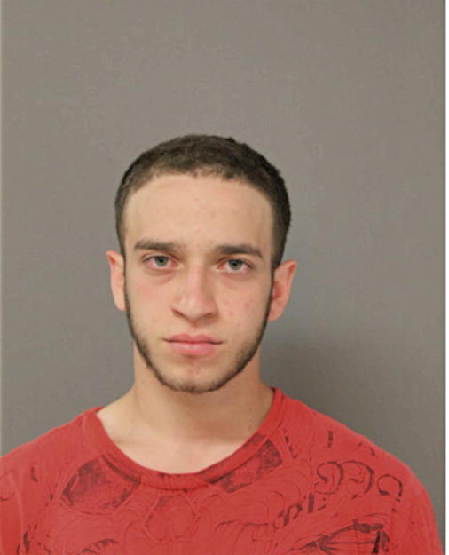 GIOVANNI ALESI, Cook County, Illinois