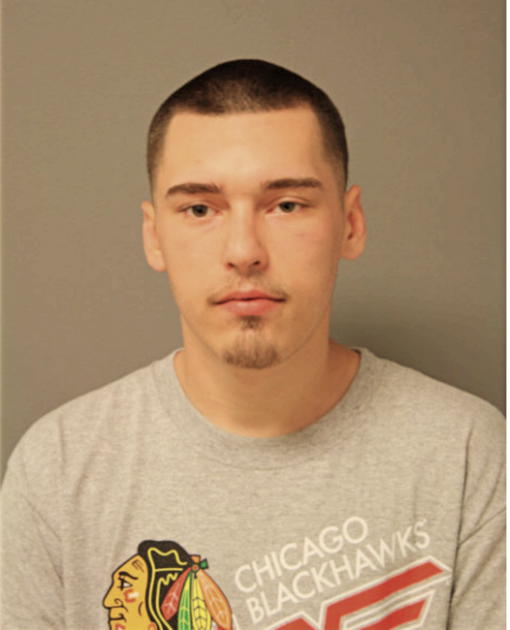 DILLON J BUDZYN, Cook County, Illinois