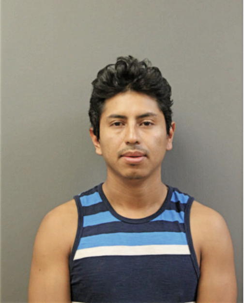 CHRISTIAN FIDEL CASTRO, Cook County, Illinois