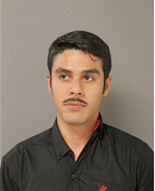 PAUL GUSTAVO DIAZ, Cook County, Illinois