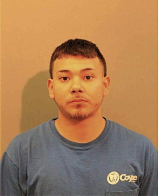 BRIAN ELVIR, Cook County, Illinois