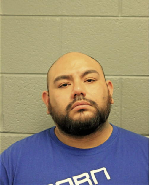 RICARDO S GARCIA, Cook County, Illinois