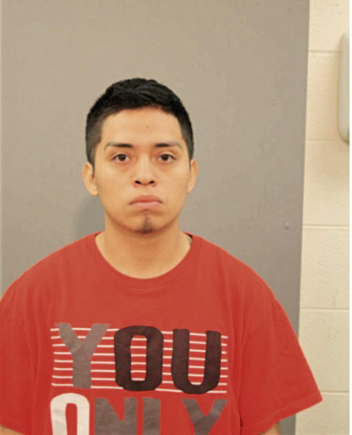 JUAN GUEVARA, Cook County, Illinois