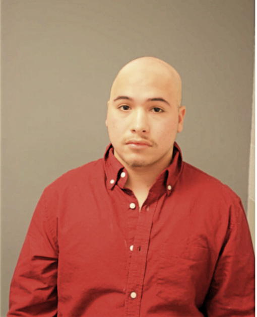 DANNY HERNANDEZ-SIMMONS, Cook County, Illinois