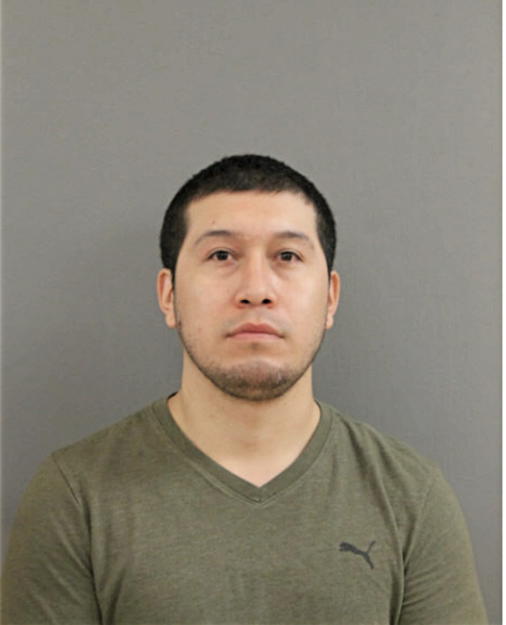 DELFINO HIGUERA, Cook County, Illinois