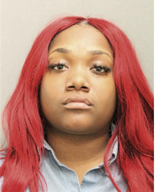 LENA N JOHNSON, Cook County, Illinois