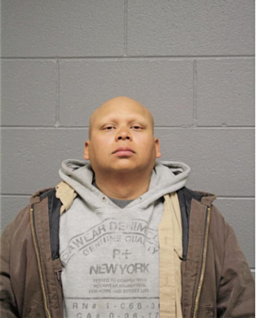 ALEXANDER L MONZON, Cook County, Illinois