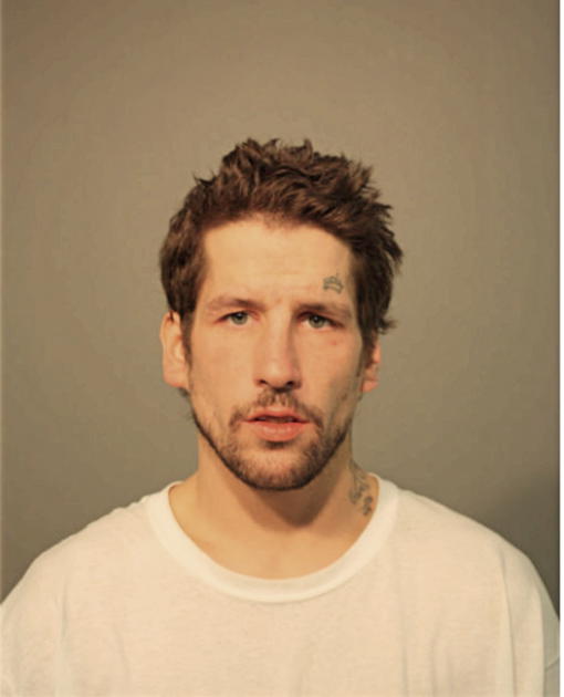 PETER J PULEO, Cook County, Illinois