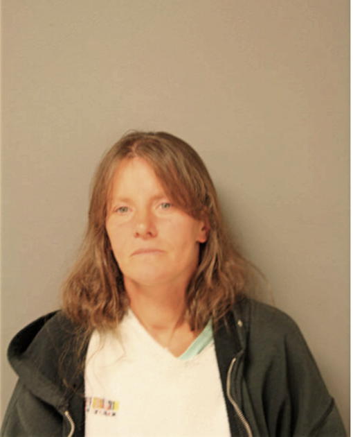 NANCY A ROSARIO, Cook County, Illinois