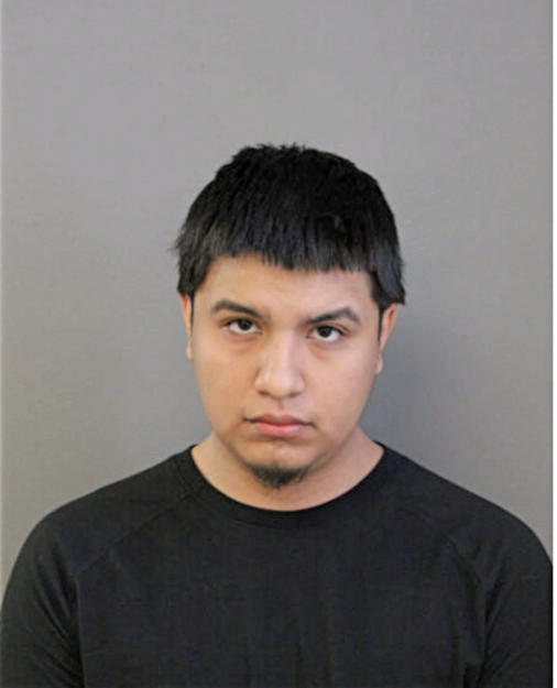 BRIAN RUEDA, Cook County, Illinois