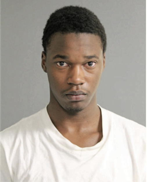 ROBERT T SOLOMON, Cook County, Illinois