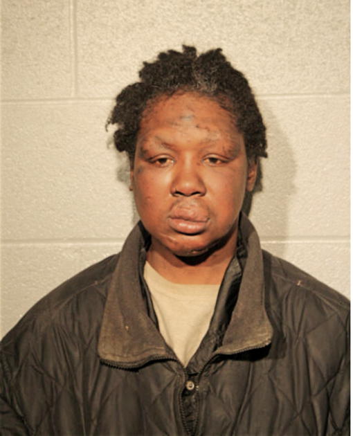 MICHELLE STEWART, Cook County, Illinois