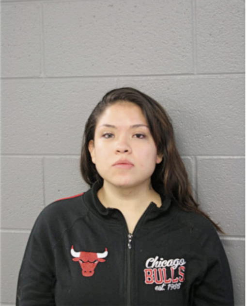 EMILSE J TREJO, Cook County, Illinois
