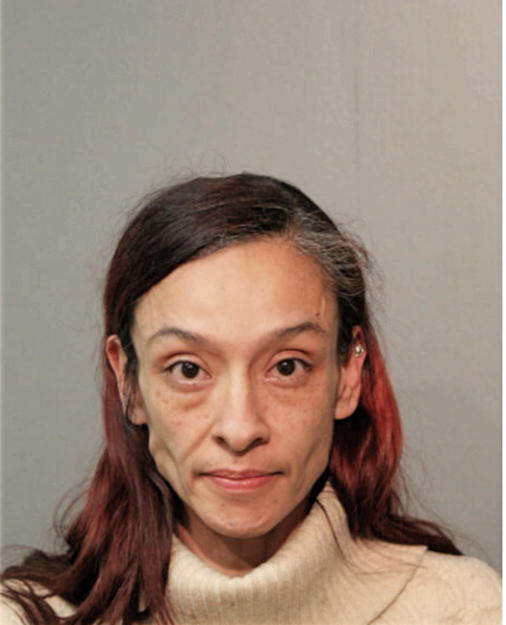 AIDA E TREVINO, Cook County, Illinois