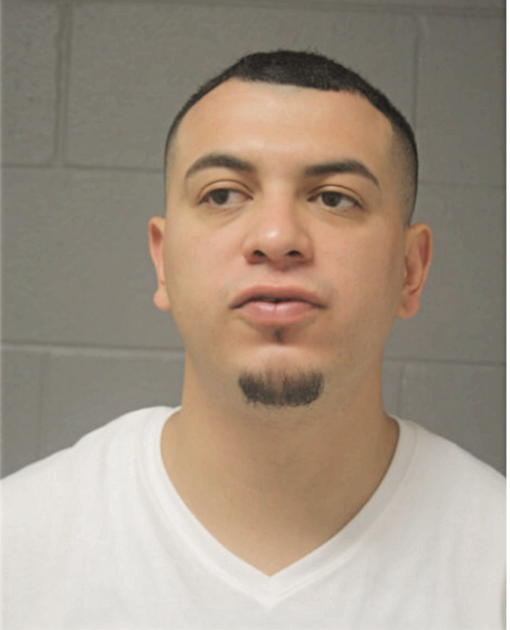 GERARDO VEGA, Cook County, Illinois