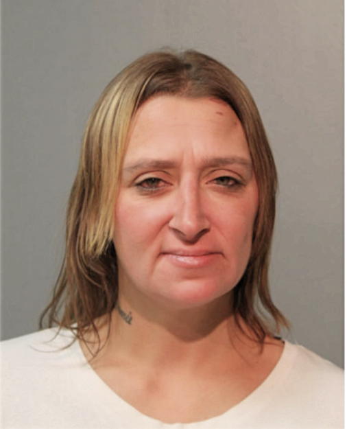 MICHELLE L WARCHOLIK, Cook County, Illinois