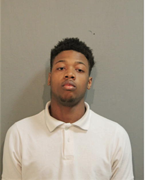 MICHAEL WILSON, Cook County, Illinois
