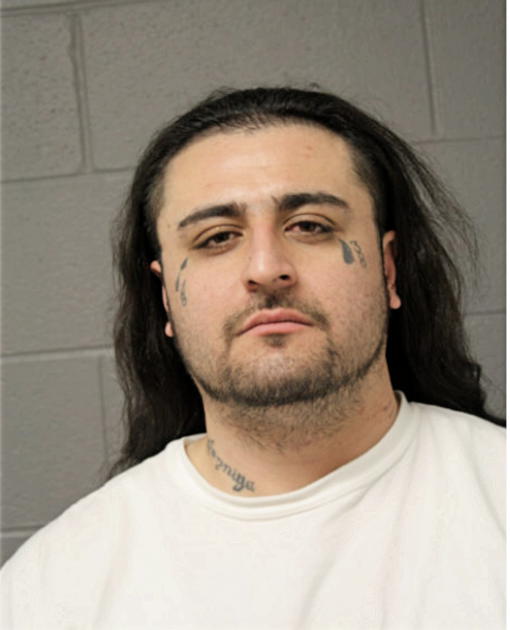 DAVID J AGUIRRE, Cook County, Illinois