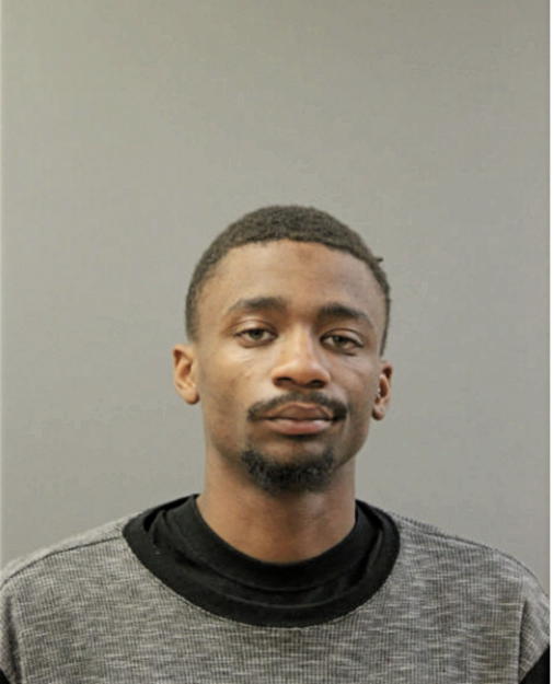 KAMERON D ALSTON, Cook County, Illinois