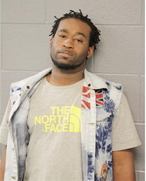 NICKOLAS D ANDERSON, Cook County, Illinois