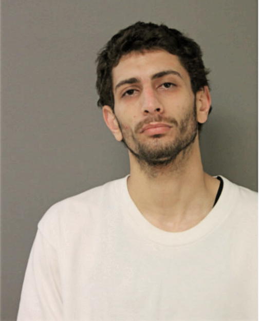 ANDREW W DIAZ, Cook County, Illinois