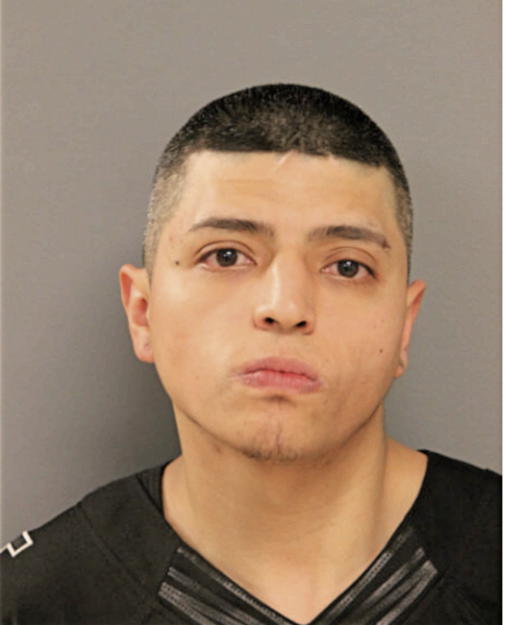JAVIER DIAZ, Cook County, Illinois