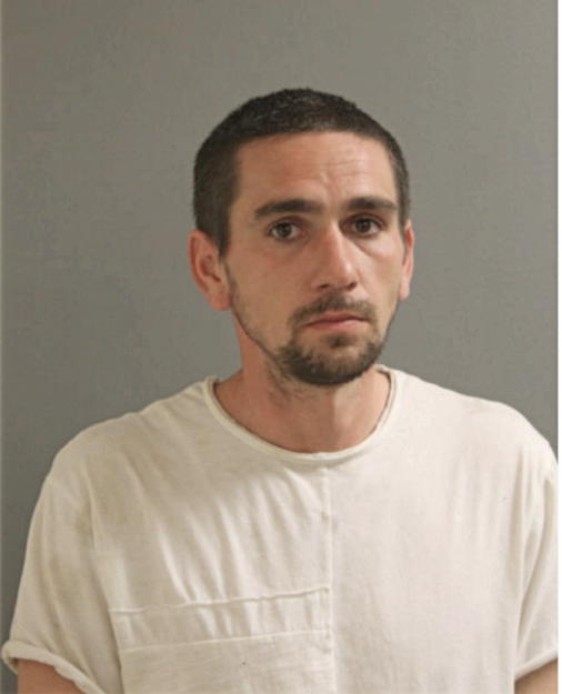 BRIAN P EVANS, Cook County, Illinois