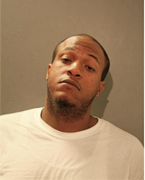 JOSHUA C GIBSON, Cook County, Illinois