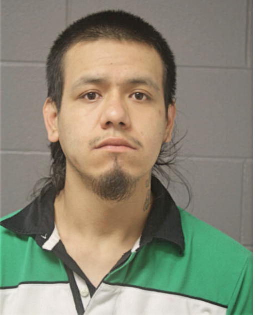 EDUARDO GONZALEZ, Cook County, Illinois