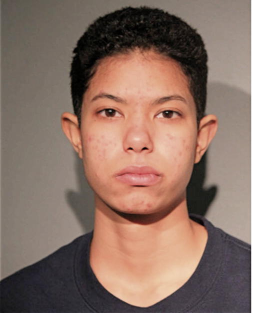 SARAH M JOHNSON, Cook County, Illinois