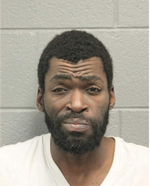 MATTHEW L JONES, Cook County, Illinois