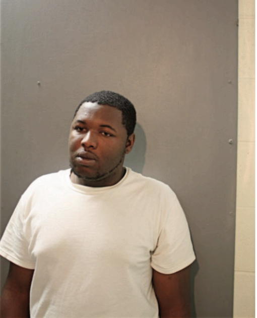 DARRYL N KING, Cook County, Illinois