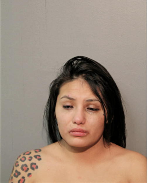 ALMA MONTEJANO, Cook County, Illinois