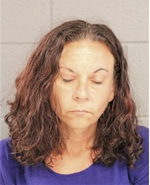 JANICE L NICASTRO, Cook County, Illinois