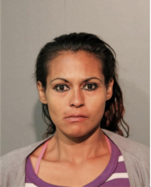 MAVIS L NUNEZ, Cook County, Illinois