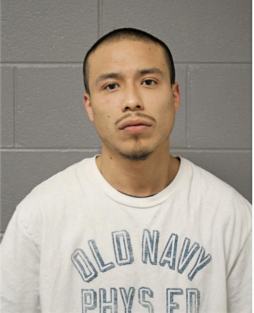 DAVID PINA, Cook County, Illinois