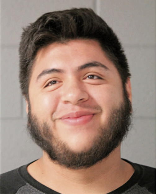 SERGIO PLATA, Cook County, Illinois