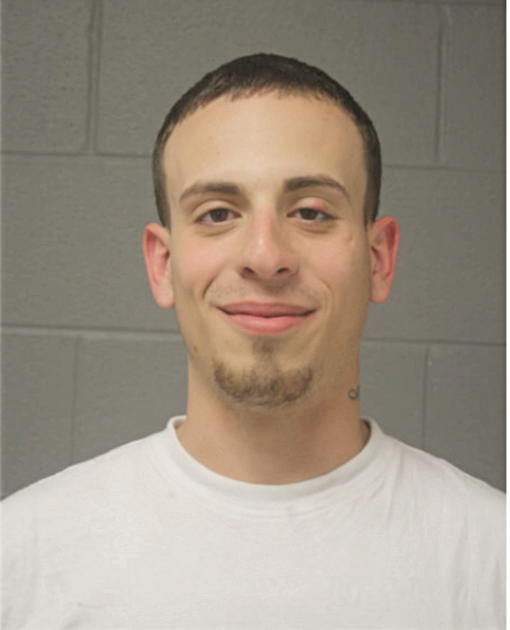 JOEL M RAMIREZ, Cook County, Illinois