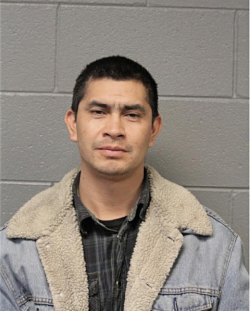ZAVALETA ROSA, Cook County, Illinois