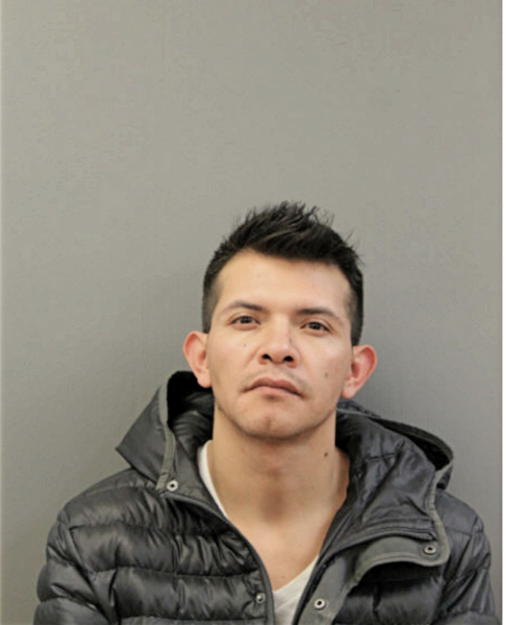 JULIO O VEGARIVAS, Cook County, Illinois