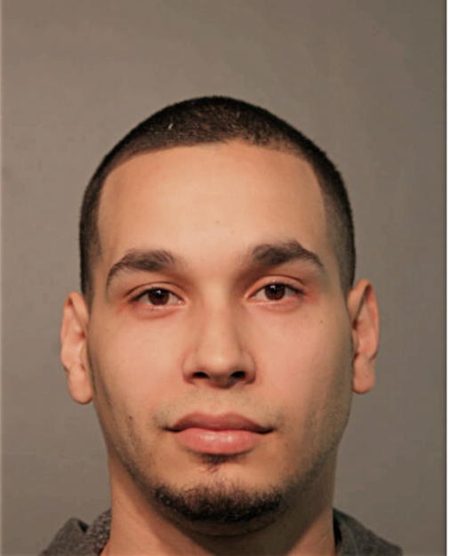 ALEXANDER J ACEVEDO, Cook County, Illinois