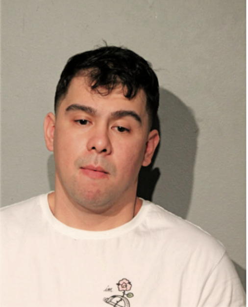 JOSHUA J BUSUEGO, Cook County, Illinois