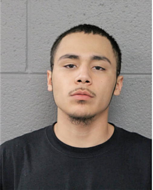 MARIO MARTIN CALIXTO, Cook County, Illinois