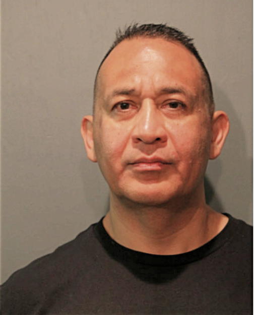 LOUIS A CANO, Cook County, Illinois