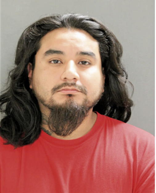 BENJAMIN E CRUZ, Cook County, Illinois
