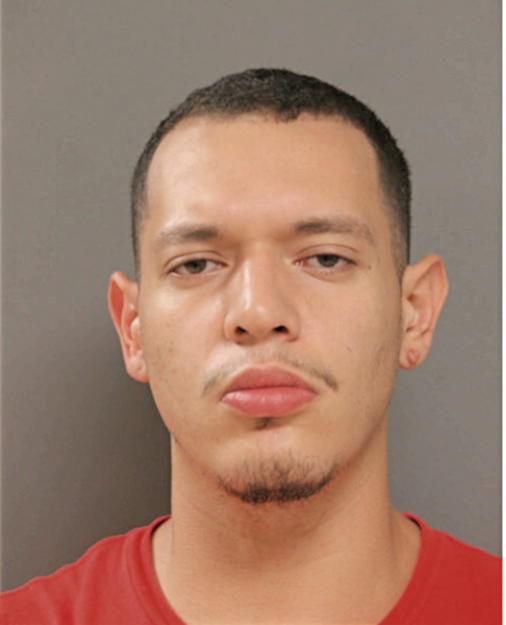 MATHEW FERNANDEZ, Cook County, Illinois